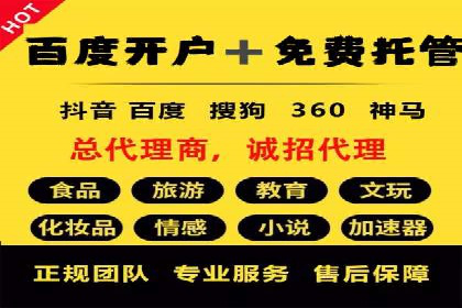 搜索引擎营销（SEM）在旅游行业的运营案例